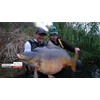 Haldorado Tornado Smoke Wafter, Champion Corn Flavour, 12mm Carp Fishing