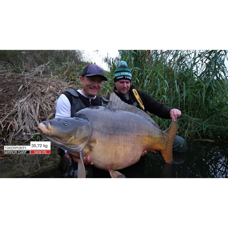 Haldorado Tornado Smoke Wafter, Champion Corn Flavour, 12mm Carp Fishing