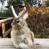 Realistic Jackalope Furry Wild Animal Replica Figurine Easter Bunny Spring