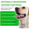 Antibiotics for Fogs,Dog Antibiotics,Daily Support Drops for Dog – 60ml