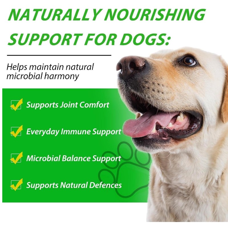 Antibiotics for Fogs,Dog Antibiotics,Daily Support Drops for Dog – 60ml