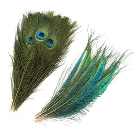 MWOOT Pack of 30 Craft Decorative Peacock Feathers, Natural Peacock Feather Tail Feathers for Crafts Embellishments, Craft Feather for Ceremony Seasonal Decoration Party Masks DIY Material Accessories