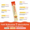 Venture Pal 2-in-1 Hydration Packets + Immune Electrolytes Powder with