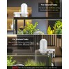 Pawfly WiFi Automatic Fish Feeder for Aquariums, Smart Auto Fish