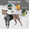 LeLePet Dog Recovery Sleeve for Front Legs, Elbow Protection, Surgical
