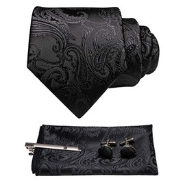 JEMYGINS Men's Necktie, Paisley Pattern, Pin, Cuffs, Button, Chief, Business, Job Hunting, Weddings, School Entrance Ceremonies, Graduations, After-parties, Funerals, Parties, Father's Day, Present,