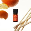 Camaldoli Micella Angeli (Lemongrass essential oil) 5ml / 까말돌리미셀라 안젤리(레몬글라스