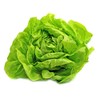 Buttercrunch Lettuce Seeds - Non-GMO - 5 grams, approximately 2,850