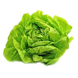 Buttercrunch Lettuce Seeds - Non-GMO - 5 grams, approximately 2,850 seeds