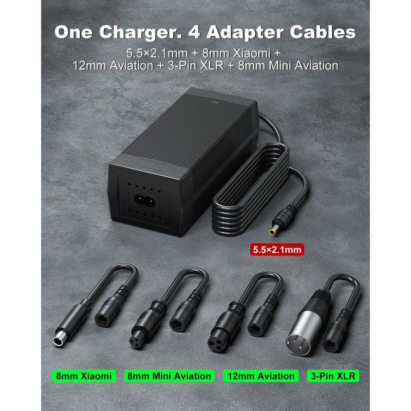 VHBW 54.6V 2A Charger Compatible with iScooter iX3 iX4 i10