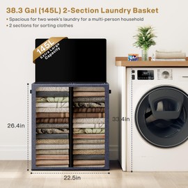 SOLEDI Large Double Laundry Hamper with Lid, Collapsible Clothes Hamper 2 section with Removable Bags, Space-Saving Laundry Basket for Bedroom, Dorm, College