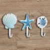 BLACK FOREST DECOR Aqua Beach Shell Hooks - Set of