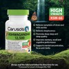 Caruso's Natural Health Ashwaganda 12,500 50 Tablets