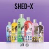 SynergyLabs Shed-X Shed Control Shampoo for Dogs; 16 fl. oz.