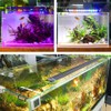 BELLALICHT LED Timer Aquarium Lighting - Aquarium Lamp, Full Spectrum,
