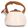 Whistling Tea Kettle 3L Large Capacity Home Stainless Steel Whistle