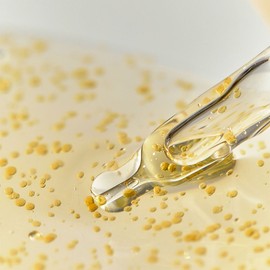 Whipped Yujamong Vegan Vita Syrup Ampoule 30ml - Whipped Yujamong Vegan Vita Syrup Ampoule 30ml