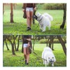 Bozal Para Perro De Entrenamiento Todas Las Tallas