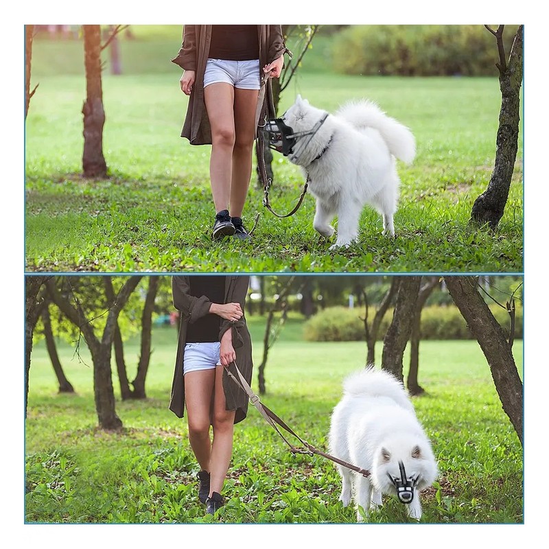 Bozal Para Perro De Entrenamiento Todas Las Tallas