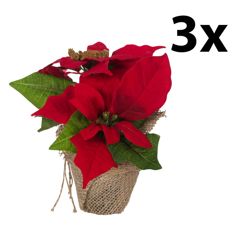 Bambelaa! Pack of 3 Christmas Star Artificial Window Realistic Christmas