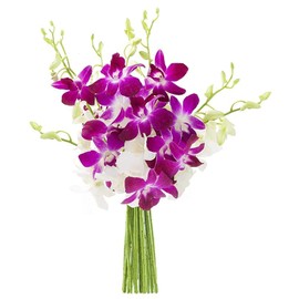 KaBloom Flowers -Valentine's Day Collection - 5 Purple and 5 White Orchid without vase, Gift for Birthday, Sympathy, Anniversary, Get Well, Thank You, Valentine, Mother’s Day Fresh Flowers