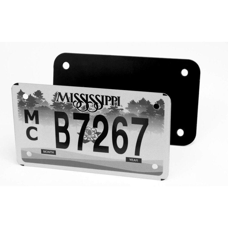 LFPartS - Placa de matrícula de acero inoxidable para motocicleta,