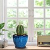 Ceramic Plant Pots With Saucer & Drainage Hole, 6 inch