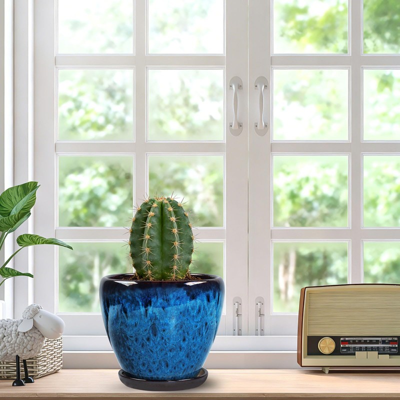Ceramic Plant Pots With Saucer & Drainage Hole, 6 inch