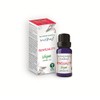 Stamford The Vegan Range by Stamford - Aroma Oils. 6packs