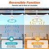BZX Waterproof Outdoor Ceiling-Fan with Light - 52" Modern Ceiling