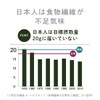 【天然由来】『水溶性食物繊維 イヌリン 500g』【レタス4個分の食物繊維】