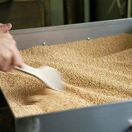 Yamada Seiyu Kyoto Yamada Fried Sesame (White) 1.8 oz (50 g)