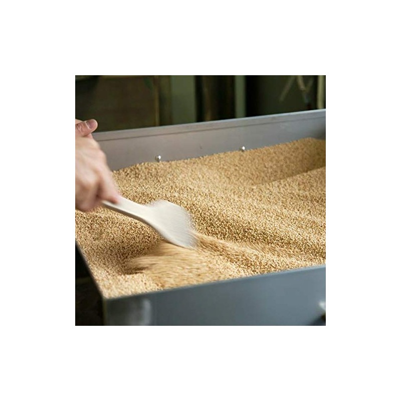 Yamada Seiyu Kyoto Yamada Fried Sesame (White) 1.8 oz (50