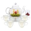 Glass Teapot Set, 40OZ/1200ml Stovetop Safe Glass Tea Kettle with