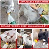 20-PCS Goat Nipples Nipple Soft Rubber Pacifier for Feeding Pup