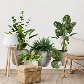 FUFUQUARE Green Potted Plants Wall Stickers Tropical Leaves Wall Decal PVC Removable Peel and Stick for Living Room Bedroom Kitchen Office