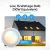 Bluex Bulbs 2 Pack 5/6 Inch LED Disk Lights 5CCT