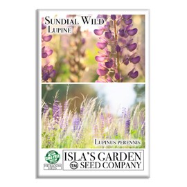 Sundial Wild Lupine Seeds (Lupinus perennis) – 50+ Heirloom Non-GMO Seeds, Vibrant Native Perennial Flowers for Pollinator Gardens, by Isla’s Garden Seeds, Easy to Grow, Perfect Home Garden Gift