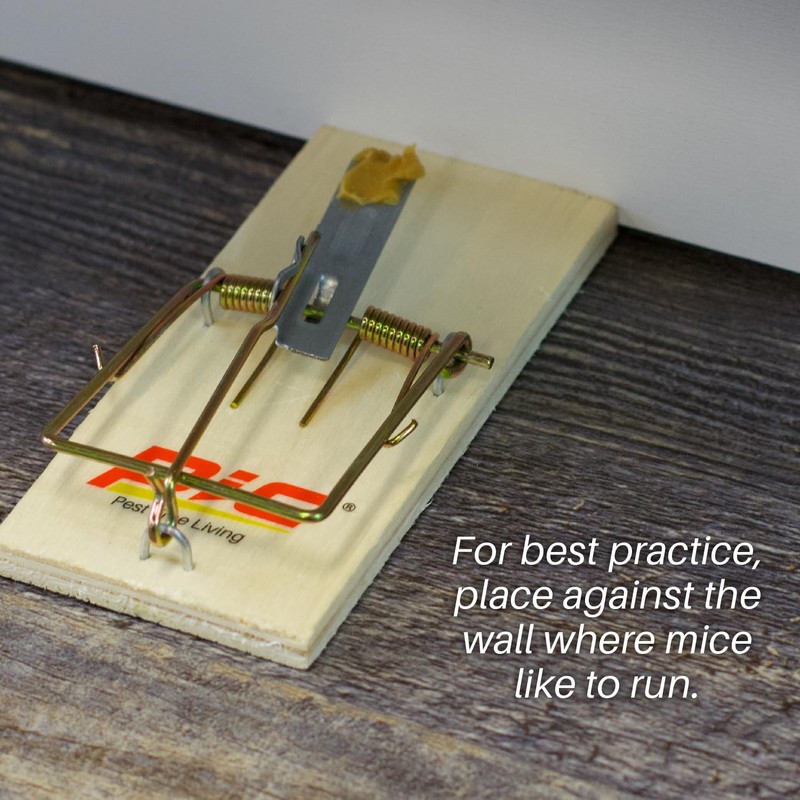 PIC Wood Mouse Traps, 4 Count