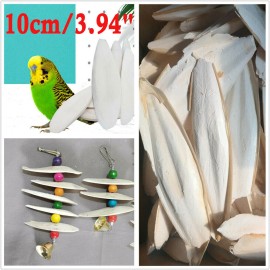 Unbranded 3.9Inch 30PC 10CM Long Cuttlebone Bone Sepia Fish Bird Food Calcium Sepia Cuttle