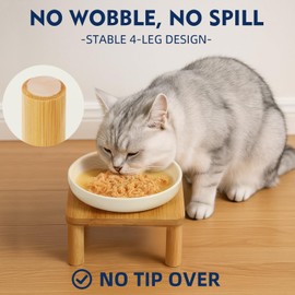 DoogCat Elevated Cat Bowls for Indoor Cats – Raised Bamboo Cat Bowl Stand with 5.75 Inch Wide Ceramic Dishes, Pet Food Plate Table for Easy Feeding, Whisker Friendly(White,Set of 2)