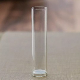 Factory Direct Craft Small Acrylic Shot Tube | 12 Pieces