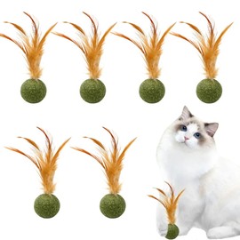 YUHENGCT 6 Pcs Interactive Cat Toy Catnip Feather Ball, Compressed Natural Catnip Lollipop Natural Cat Kicker with Feathers,Cat Toys Balls for Kitty