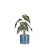 Scheurich Set of 2 Ceramic Flower Pots, Colour: Blue Jeans,