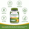 Doctor's Recipes Moringa 240 Caps