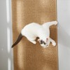SHENGOCASE 67"x 23.6" Thickened Cat Wall Climbing Carpet, Cat Wall