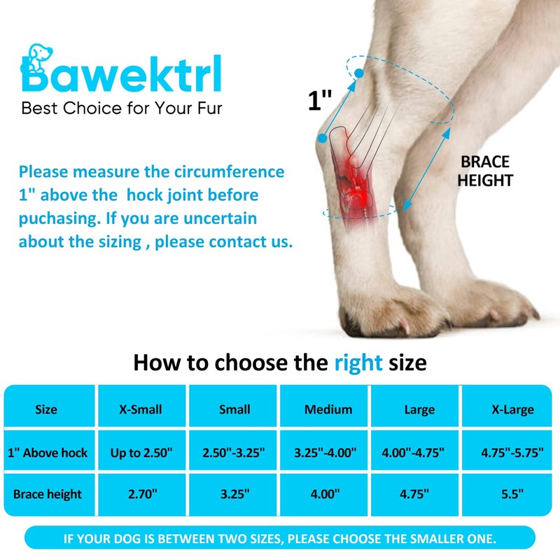 Dog Leg Braces for Rear Legs, Hock Brace for Back