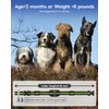 Dog Training Collar with Remote, Electronic Dog Shock Collar with