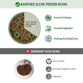 Silicone Slow Feeder Cat Bowl with Detachable Stand, Green