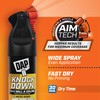 DAP Spray Texture Knockdown Water Based 2n1 Wall & Ceiling